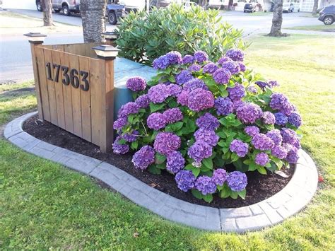 outside electrical box cover ideas|landscaping around transformer box.